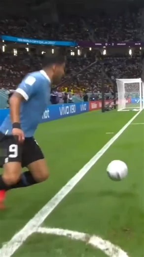 Video's van M,C,A Ali,anbri, (@mca.alianbri) met الصوت الأصلي - بـشـ✘ـار الاسـᬼ𓄂ـد🦅