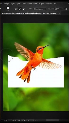 Transparency img in Photoshop cc