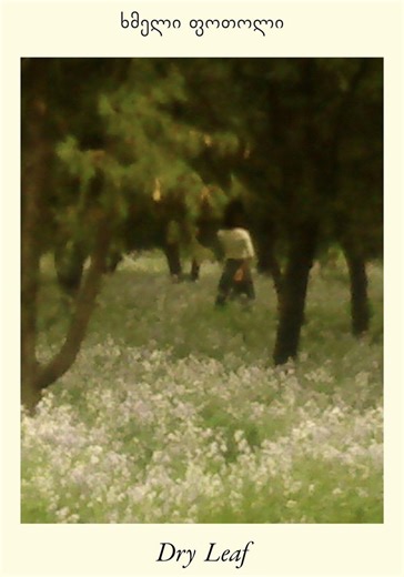 Dry Leaf streaming: where to watch movie online?