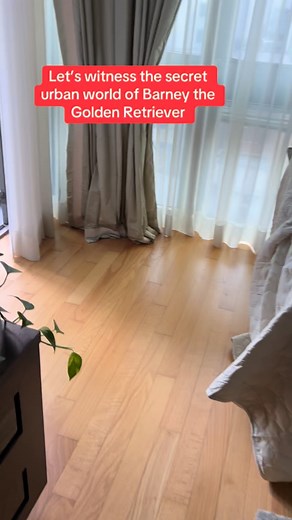 When the paparazzi gets outta hand, Roberto doubles as my bodyguard to handle the riff raff. | Barney the Golden NYC