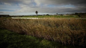 NCOP grants Public Enterprises 2 months to finalise Alexkor, Ritchtersveld deed agreement - SABC News - Breaking news, special reports, world, business, sport coverage of all South African current events. Africa's news leader.