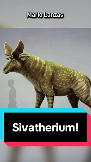 Discover the Fascinating Family of Giraffidae