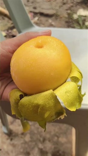 This is a super-sized cake tree!