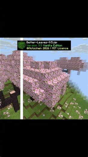 This Texture Pack Changes EVERYTHING! #minecraft #resourcepack #bedwars #gaming #minecraftedit