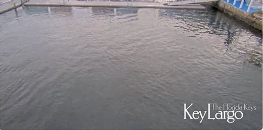 Webbkamera Key Largo – Floride, USA | väder live och timelapse