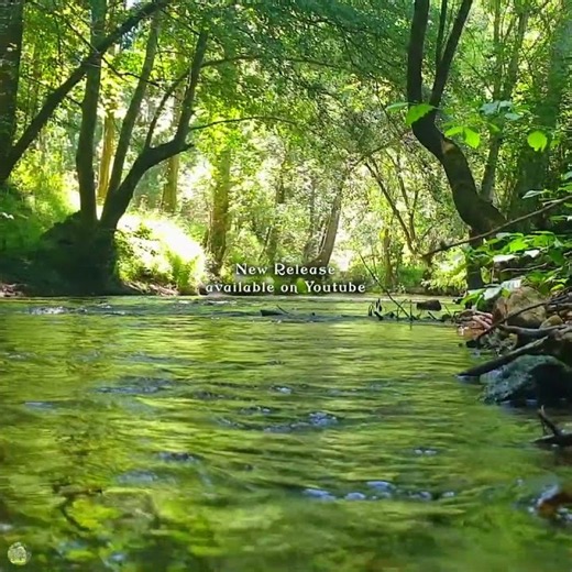 🌳Healing Frequency 432Hz Real Nature 🌳 Feel Good Forest River Ambience & Birdsongs | New Video