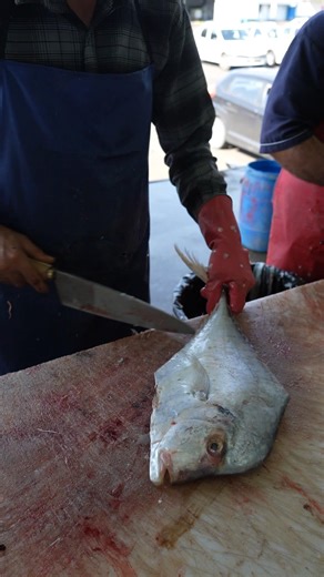 Stop Wasting Fish – Fish Cutting the RIGHT Way