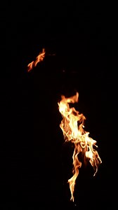 Download Fire Torch burning for free