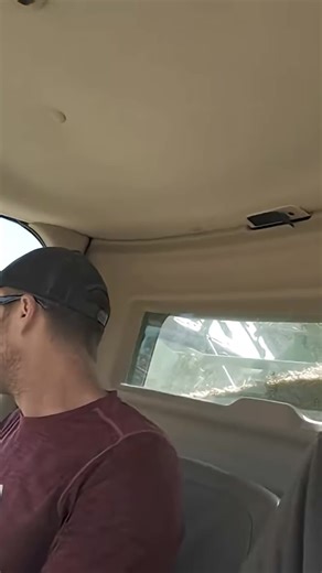 JD s680 Combine Cruising thru High Yield Soybeans John Deere 645FD Auction Buy Early Impressions #bigtractorpower #agri #farmequipment #farm #johndeere #machine #agriculture #harvest #farmer #farming | BP Farming