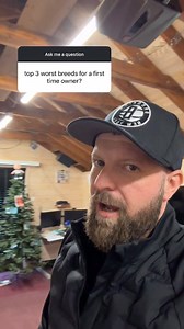 379K views · 6K reactions | Top 3 worst dog breeds for first time owners | Southend Dog Training | Facebook