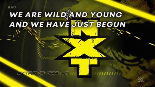 WWE NXT 2010主题曲