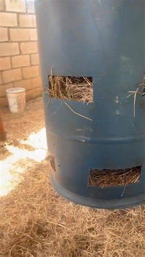 9.4K views · 145 reactions | Boer goats are known for their fast growth rate and excellent meat quality — making them a top choice for profitable livestock farming! Strong, hardy, and adaptable, they thrive in diverse climates and require less maintenance than many other breeds. #BoerGoat #GoatFarming #LivestockFarming #MeatGoats #FarmLife #Agribusiness #BoerGoatAdvantages #GoatHerders #ProfitableFarming #SustainableFarming | Goats Sheep Cows & General Livestock Online Marketplace | Facebook