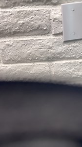 380K views · 8.6K reactions | I think this guy might have mistaken goose for a police dog despite his gear saying service dog #Cardiacalertdog #seizurealertdog #migrainealertdog #workingdog #wlgsd #germanshepherd #dogtraining #ambulatorywheelchairuser #mcas #ehlersdanlossyndrome #pots #fnd | Demon.Dog.Duo | Facebook