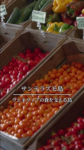 イタリアの世界遺産・ヴェネツィアをイッキ見(2025年11月16日放送)