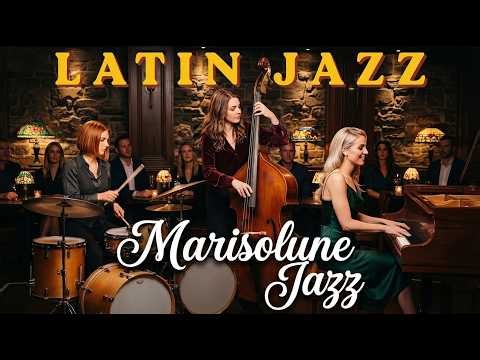 Latin Jazz Background Music 🎶 Smooth Instrumental Playlist for Work, Lounge & Dining / Jazz Latin