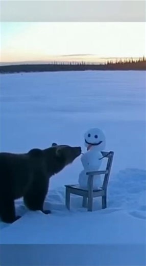 クマ避けにドッキリ雪だるまを置いてみた結果…！ #animalshorts #衝撃映像 #監視カメラ #自然の記録 #野生動物