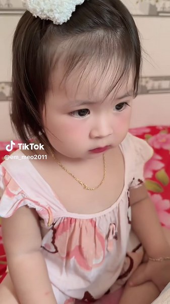 Mèo San San trên TikTok