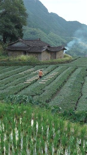 Discover the Art of Traditional Chinese Craft
