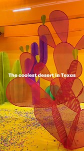 Visit the coolest desert in Texas 🌄. New at Color Factory 🌵🤠 color.inc/houston | Color Factory