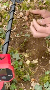 80K views · 601 reactions | 廊Qu’est ce qui ne va pas dans cette video...