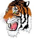 Carthage High School (MO)  Baseball