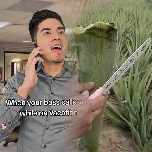 Understanding PTO Policies and Vacation Requests