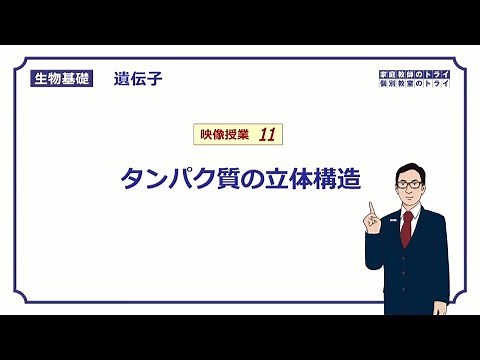 [Basic Biology] Gene 11: Protein Structure (12 minutes)
