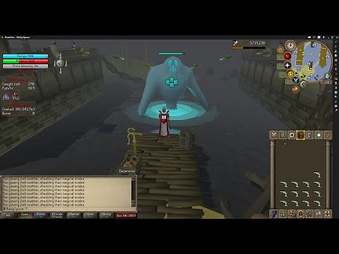 100 TEMPOROSS REWARDS - HUNTING FOR FISH BARREL