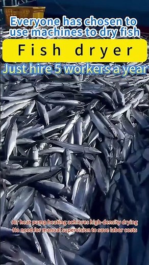 Heat Pump Food Dryer: Fish Jerky dehydrator! (Energy Efficient Dryer)#fish #fooddryer #dehydrator