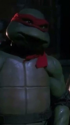 Teenage Mutant Ninja Turtles VS Shredder