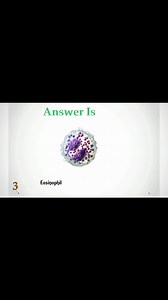 140K views · 2.4K reactions | White blood cells identification ❤️❤️ #lablife #microscope #hematology | Lab life | Facebook