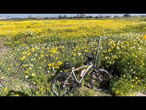Street Tires On A Mountain Bike