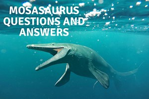 20 Mosasaurus Questions And Answers - Dinosaur Facts For Kids