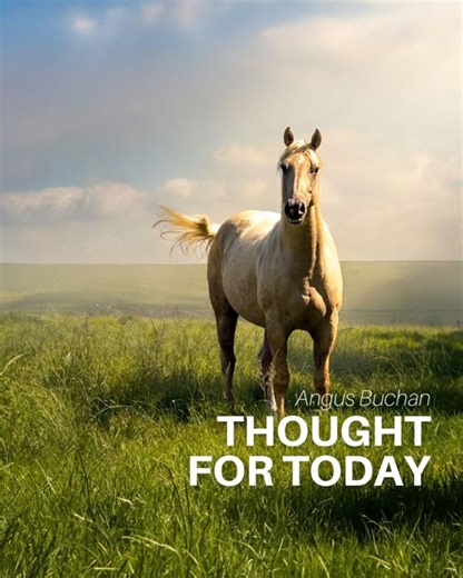 THOUGHT FOR TODAY (The Living God) He is still and ever will be a living God... . Listen to Thought for Today on the Angus Buchan app: http://bit.ly/AngusApp. There is a new WhatsApp Channel that you can follow to receive THOUGHT FOR TODAY. Use this link to join. bit.ly/tft-angus-buchan. It will show up under ‘Updates’ on your WhatsApp, under Channels. | Angus Buchan