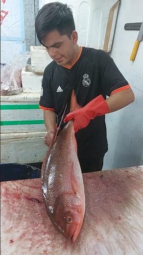 The easiest method of filleting Red Snapper #fishcuting