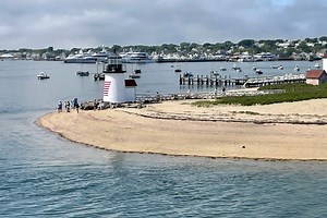 Nantucket man walked into neighbor’s yard and cut down 50-year-old trees to improve his ocean view, suit says
