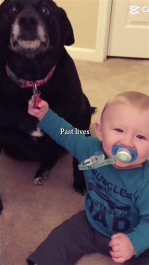 😭😢😭😢😭😢😭😢