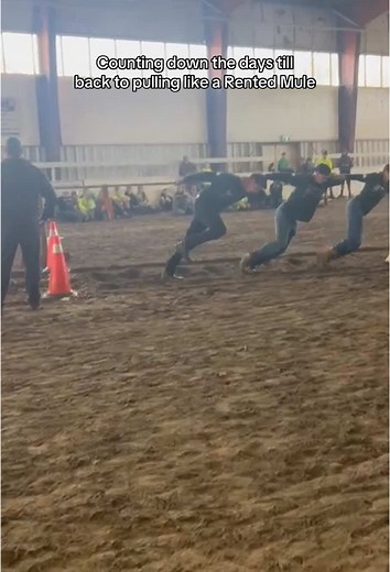 Mastering Tug of War Techniques for Beginners