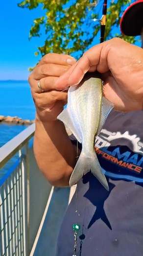 The joke was on me  #fishing #shorts #youtubeshorts | 914 Fishing | Facebook