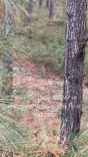 Mastering Deer Hunting Techniques for Beginners