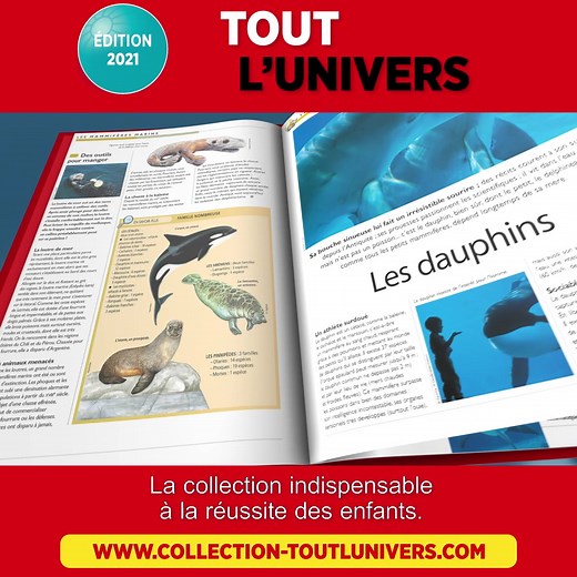 Tout l’Univers : la collection des enfants, pour découvrir le monde et apprendre en s’amusant! | Hachette Collections
