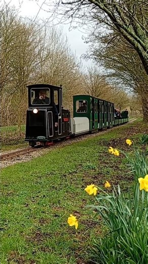 Springtime Diesel #short #shortvideo #dieseltrain #diesel #train #railway #miniaturerailway #shorts