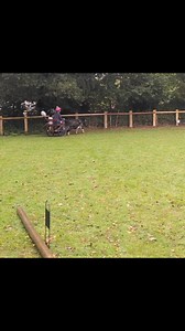 44K views · 2.8K reactions | Wishing Verity the happiest of birthdays! My little horsewomen sure has been on quite the journey with her ponies along her little lifetime. These are my all time favourite moments, which is hard to whittle down to just a few, but the world sure smiled with this first clip 勺 | The Pony Pals Family Storybooks | Facebook