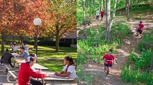 95 reactions · 5 comments | Are you currently studying at a college or university? Or do you have some post-secondary credits and want to continue your studies? Consider transferring to Brock University! For more information on making the move to #BrockU, contact us at futurestudent@brocku.ca with any questions you might have. | Brock University | Facebook