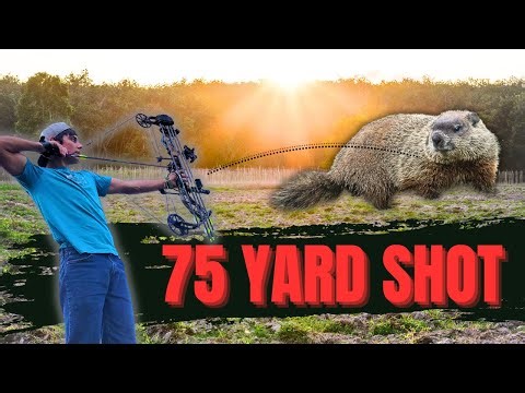 SNIPING a groundhog with a BOW: Hunter vs. Groundhog