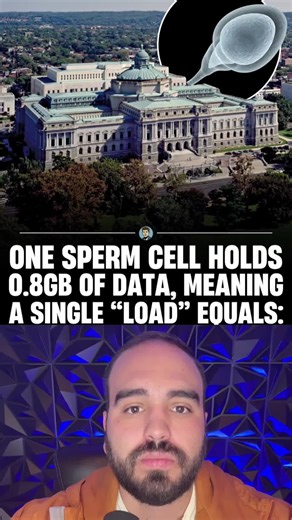 God is the ultimate engineer! #God #science #christian