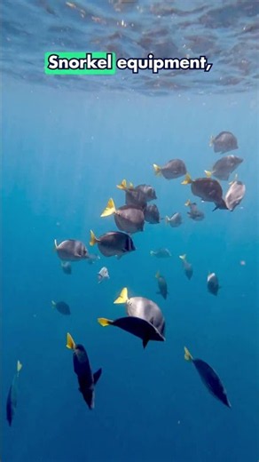 What do you actually get for a $10K Galapagos cruise?