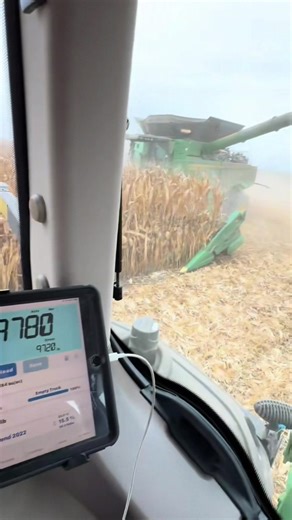 Imagine needing auto steer to run a grain cart #agriculture #farming #tractor #johndeere #fendt #agro #newholland #harvest #caseih | The Desolated Mountains
