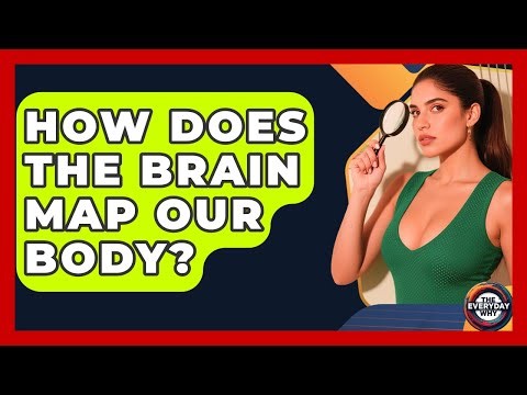 How Does The Brain Map Our Body? - The Everyday Why
