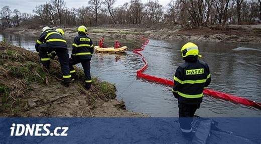 Inspekce podezřívá z loňské otravy ryb v Odře dvě firmy, zabíjel kyanid a zinek